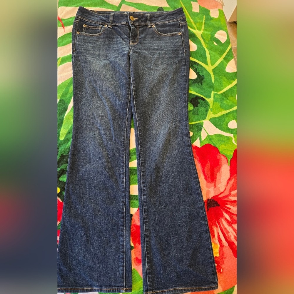 American Eagle Slim Boot Low Waist Jeans